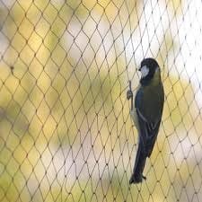 Sparrow Safety Nets Chennai