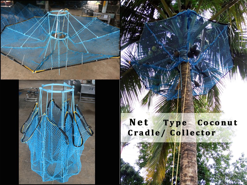 Coconut Tree Nets Chennai